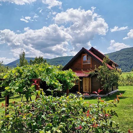 Brvnare Stojic Apartment Kokin Brod ภายนอก รูปภาพ